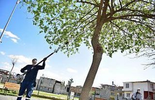 Yüreğir’de bahar temizliği