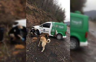 Zonguldak Emniyet’i sokaktaki canları unutmadı