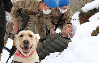 Zonguldak Jandarması’nın ’süper burun’ köpekleri