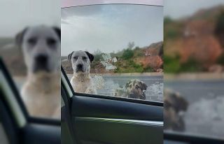 10 Nisan Polis Günü’nde polislerden örnek davranış