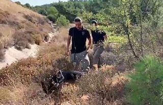 15 yıl sonra ortaya çıkan korkunç cinayete zorla...