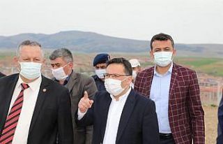 1 milyon metrekare alana ekilen çörek otunda hasat...