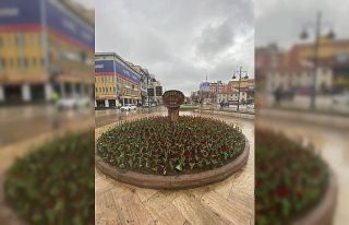 20 bin lale toprak ile buluştu