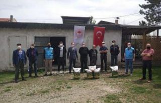 26 üreticiye çerezlik kabak tohumu dağıtıldı