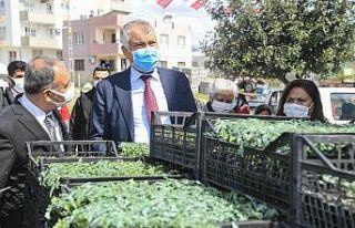 2 yılda 2 milyon 400 bin fide üreticiyle buluşturuldu