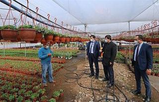 30 yıllık çiçekçinin süs bitkileri serası hayali...