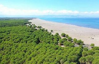 50 hektarlık mesire alanı projesinde imzalar atıldı