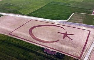 70 dönümlük tarlasına traktörüyle Türk bayrağı...