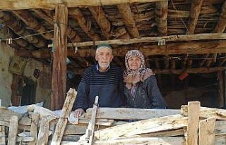 72 yıldır aynı yastığa baş koyan çiftin mutluluk...