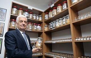 80 İl’e 10 milyon yerel tohum gönderildi