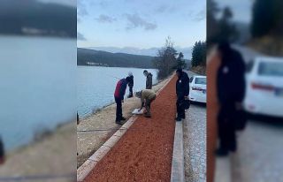 Abant’ta kaçak balık avlayan 3 kişiye para cezası