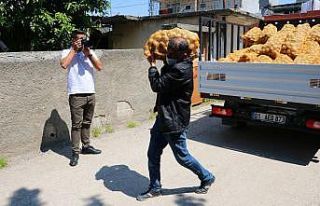 Adana’da ihtiyaç sahiplerine patatesler dağıtılmaya...