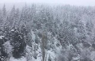 Adana’nın yüksek kesimlerinde kar yağışı etkili...