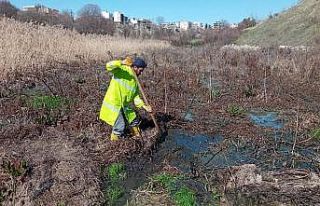 Adıyaman’da haşere ile mücadele sürüyor