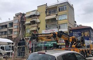 Ağacın üstünde Keloğlan heykeli ilgi çekti