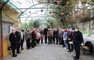 Ağaçlara ponpon asarak kanserde erken teşhise dikkat...