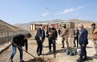 Akademisyenler fidan alıp okul bahçesine diktiler