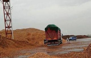 Akhisar’da kamyondan düşüp hayatını kaybetti