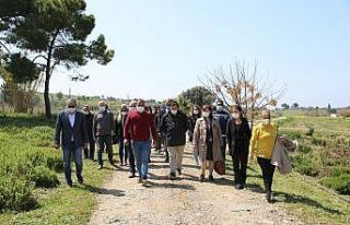 Akköy serası ziyaretçilerden ilgi görüyor