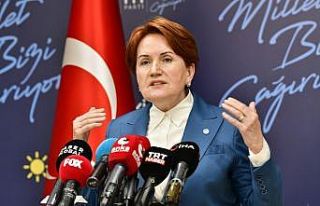 Akşener’den bildiri tepkisi: “Bu bir zevzekliktir”