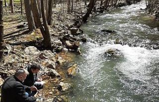 Alabalık tesislerinin çevreye etkileri araştırılıyor