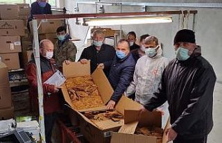Alaçam’da tütün alımı başladı