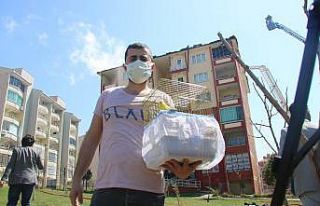 Alevlerin arasına dalıp evcil hayvanlarını kurtardılar