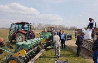 Alpu’nun Bahçecik mahallesinde mera ıslah çalışması...