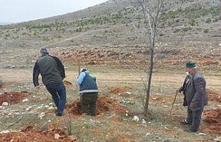 Altıntaş’ta ’’Bal ormanı’’ çalışmaları