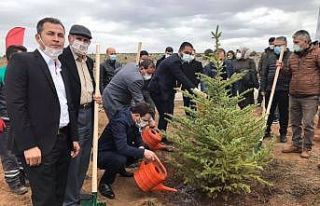 Altıntaş’ta hatıra ormanı