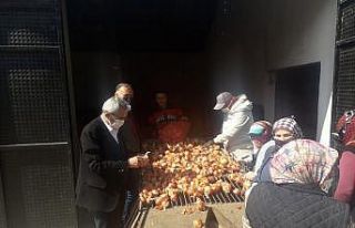Amasya’da kuru soğan alımı başladı