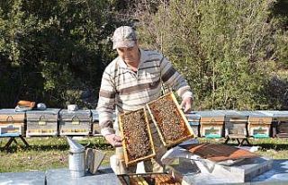 Antalya’da arıcılar yeni sezona hazırlanıyor