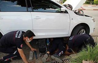 Araç motoruna sıkışan kediyi kurtarmak için seferber...