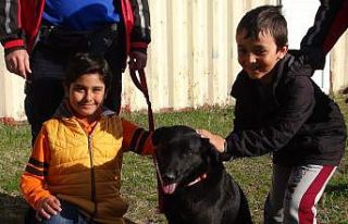 Arama kurtarma köpeğine oy birliğiyle ‘Gece’...