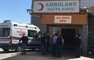 Arazi anlaşmazlığı yüzünden kan aktı, karı-koca...