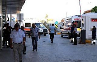 Arı sokmasına bağlı ciddi alerjik reaksiyonlar...