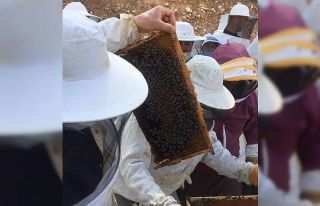 -Arıcılık Kursu Tamamlandı