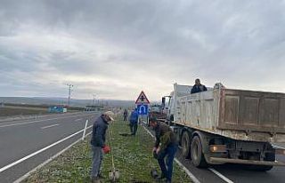 Arpaçay Belediyesi refüjleri ağaçlandıryor