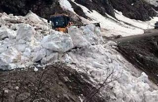 Artvin’de çığ düşmesi sonucu kapan Camili Bölgesi...