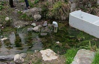 Artvin’de kaderine terk edilmiş tarihi kaplıca...