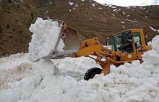 Artvin’de karla mücadele Nisan ayında devam ediyor