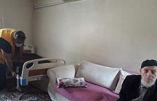 Asırlık çınara hasta yatağı