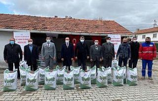 Aslanapa’da üreticilere yonca tohumu dağıtıldı