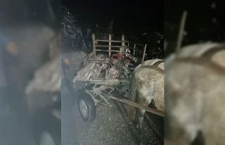 At arabasındaki 13 sıva iskelesi ayağına polis...