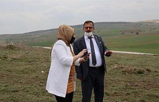 Atıl tarım arazileri üretime kazandırılıyor