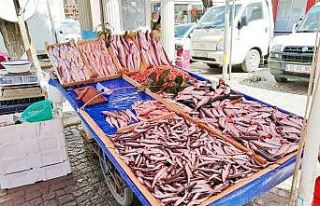 Av yasağı başladı