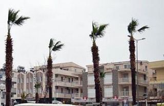 Aydın’da kuvvetli rüzgar etkili olacak