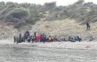 Ayvalık’ta denizde sürüklenerek adada mahsur...