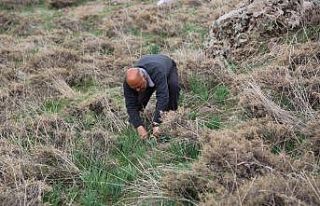 Bağışıklıktan, saç dökülmesine kadar etkili...