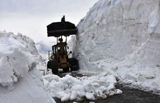 Bahar ayında Bitlis’te 10 metrelik karla mücadele...